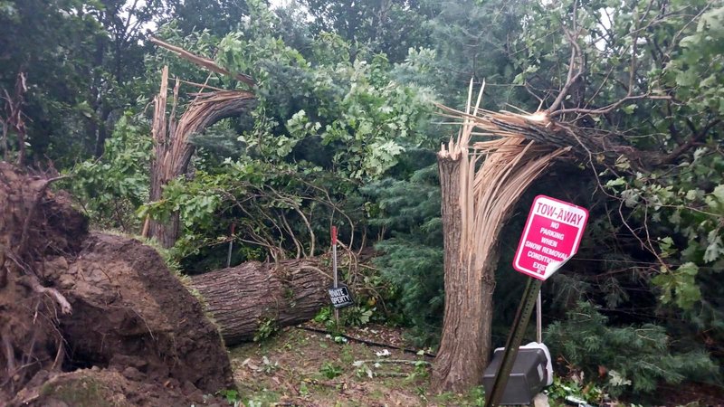 Tree crew safely removing a massive fallen tree limb from a residential garage roof in Royal Oak following storm damage.