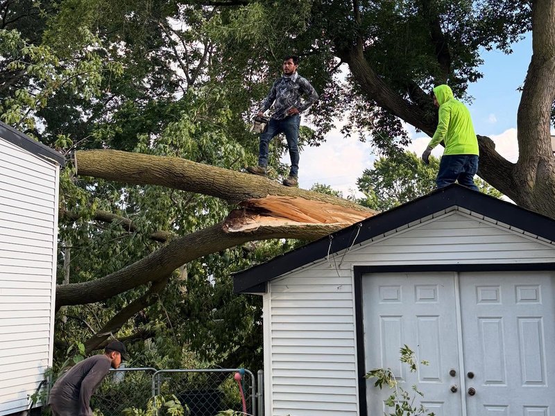 Tree service crew removing a large fallen tree limb from a white garage roof following storm damage in Royal Oak, Michigan.