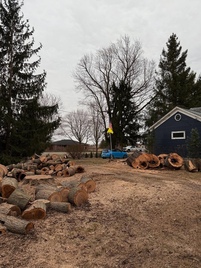 Large sectioned logs from a hollow tree removal job on a residential property in Berlin, Michigan.