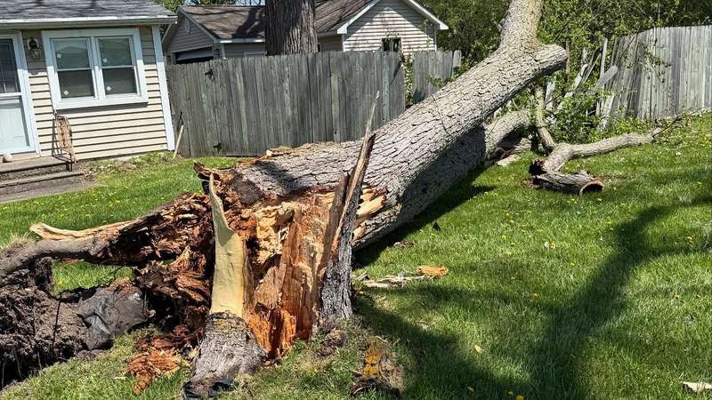 Storm damage cleanup service