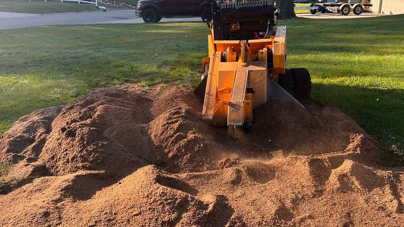 Stump grinding service